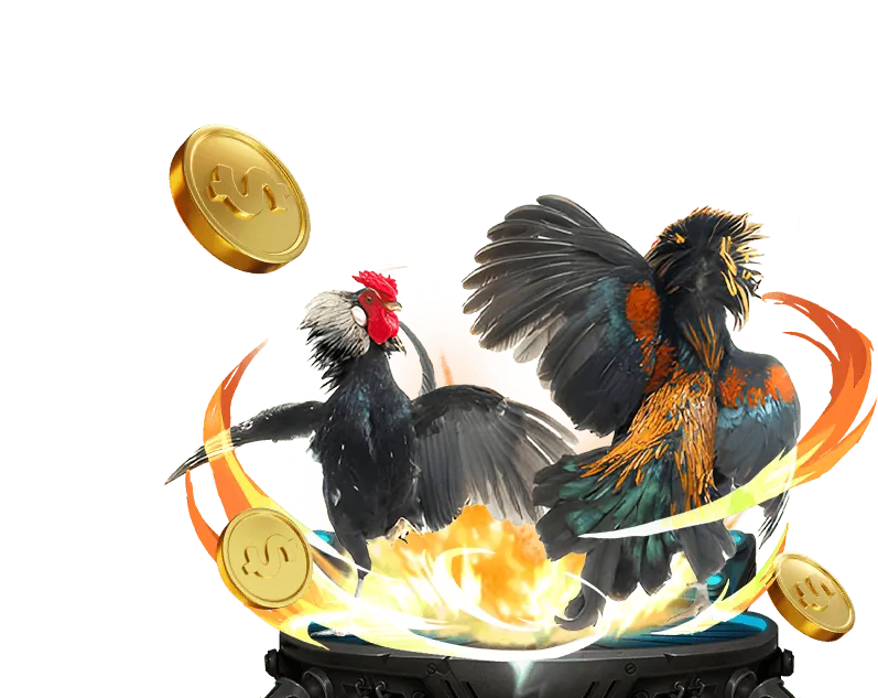 Tổng quan khuyến mãi VN58.VIP